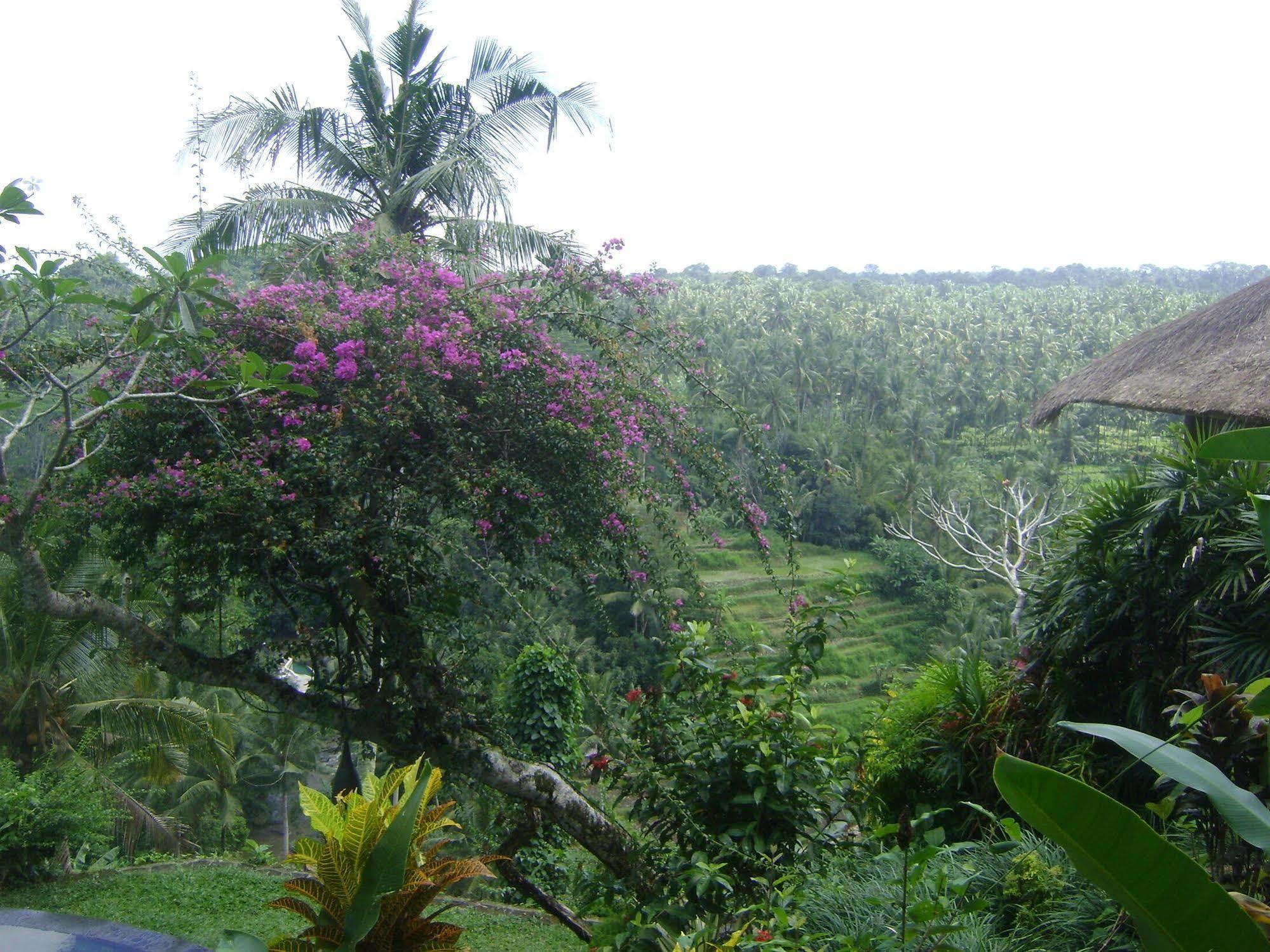 Hotel Taman Bebek Bali Ubud Exterior foto