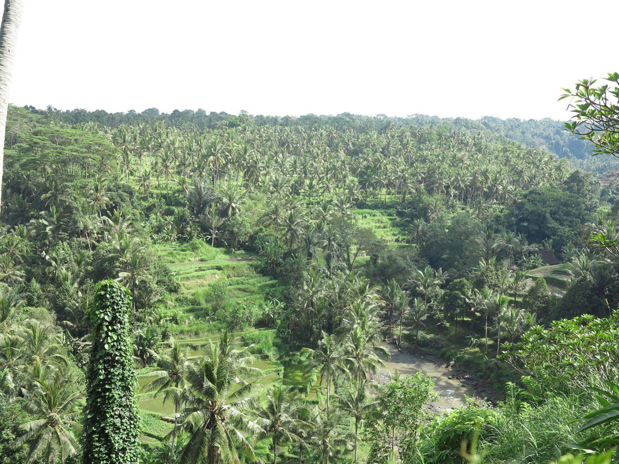 Hotel Taman Bebek Bali Ubud Exterior foto
