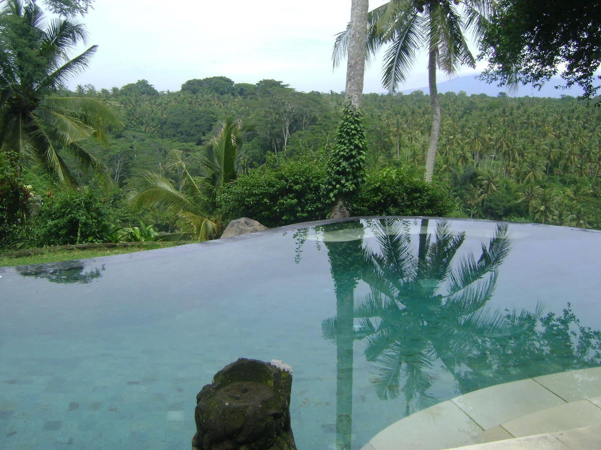 Hotel Taman Bebek Bali Ubud Exterior foto